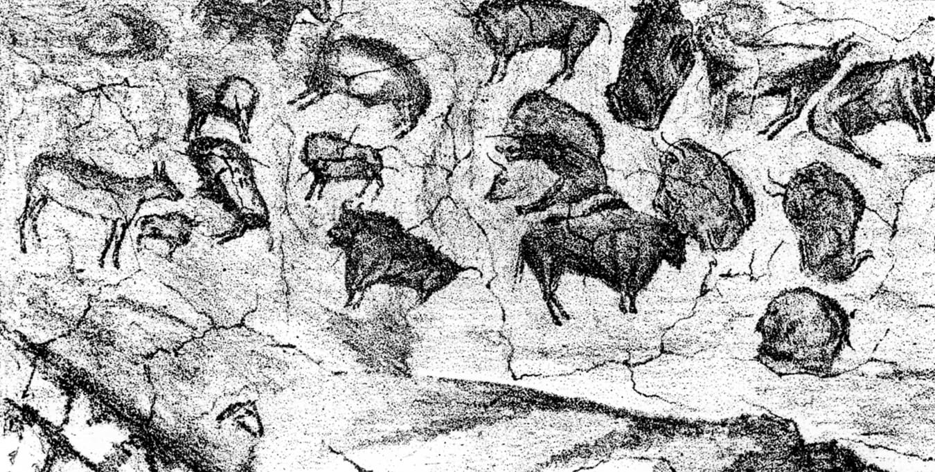 一幅黑白线描图：洞顶上的许多野牛、马和鹿，排满了横长的画面，动物的身体用排线涂黑，底部画着岩石的边缘。