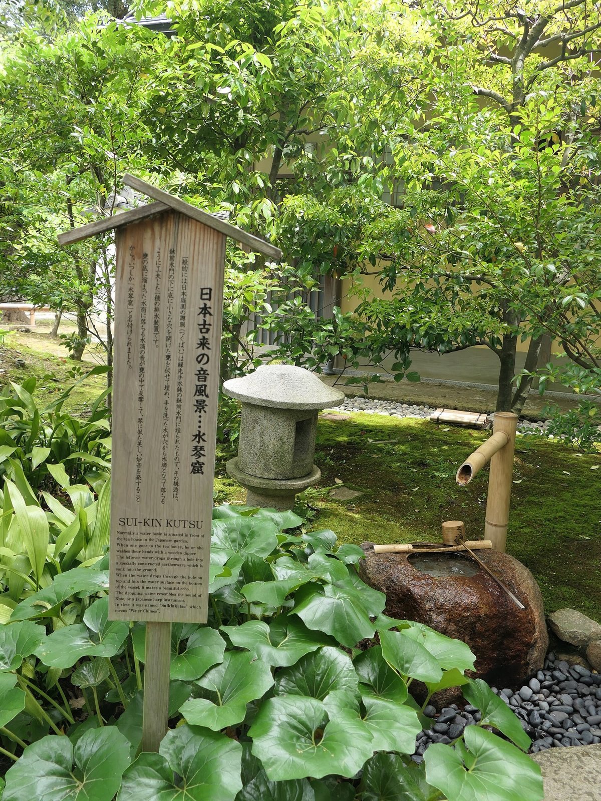 庭园一角立着一块带小屋顶的木牌,上面用日文和英文写着“水琴窟”的说明;木牌后面是一盏石灯笼,下方是一个石钵和竹管,四周长满大叶植物。