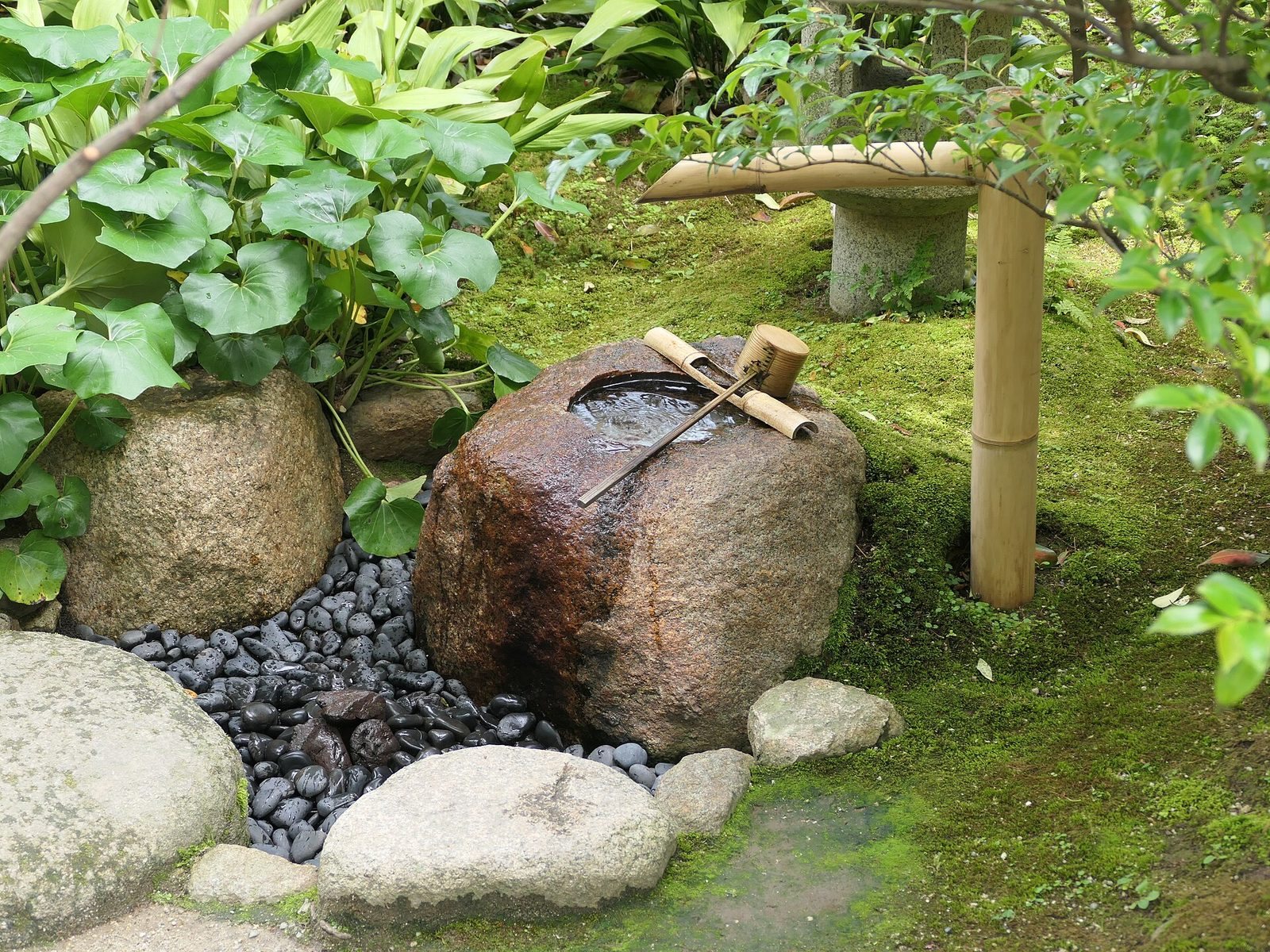 青苔和大叶植物之间,一块低矮的褐色大石,中间凿出一个盛水的浅坑,上面横放着一把竹柄的长勺;旁边有一根竹管引水。石前铺着一片黑色的卵石,周围摆着几块圆石。